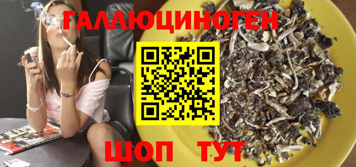 Чусовой  Галлюциногенные грибы мухоморы  Вход с VPN 